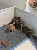 processed/9de8dc73-8457-48ae-94bf-a4a8dfabd3df/facility/58e324a0-bac9-40e6-a127-2d7fcfd74f19