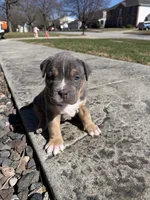 processed/9de8dc73-8457-48ae-94bf-a4a8dfabd3df/facility/71fe34dc-9fc1-4368-99a8-c90ac3e03f2a