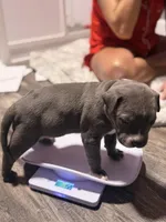 processed/9de8dc73-8457-48ae-94bf-a4a8dfabd3df/facility/77958534-5304-4f1a-a40a-331471d104c5