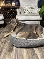 processed/9de8dc73-8457-48ae-94bf-a4a8dfabd3df/facility/e1465772-7eaa-4a1b-ac81-41927452cfbb