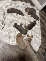 processed/9de8dc73-8457-48ae-94bf-a4a8dfabd3df/facility/e1d0f849-5965-40e0-ab2e-f51bf5fe69ec