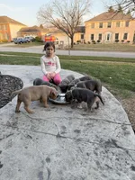 processed/9de8dc73-8457-48ae-94bf-a4a8dfabd3df/facility/fdaa466e-2012-4999-a7f0-38c20f941afa