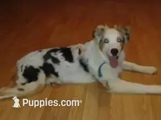 processed/9deb331a-b81b-450c-8b62-26c842ecec94/facility/00158325-7c87-4b20-82e9-52c12eda0ab9