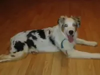 processed/9deb331a-b81b-450c-8b62-26c842ecec94/facility/00158325-7c87-4b20-82e9-52c12eda0ab9