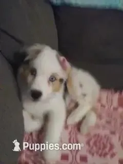 processed/9deb331a-b81b-450c-8b62-26c842ecec94/facility/2b554d75-b62d-4ab0-ba09-9cec4b42467d