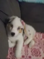 processed/9deb331a-b81b-450c-8b62-26c842ecec94/facility/2b554d75-b62d-4ab0-ba09-9cec4b42467d