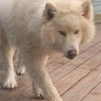 processed/9deb331a-b81b-450c-8b62-26c842ecec94/facility/5986bc23-a2ad-4c6d-957c-a42a4dc7fc7e