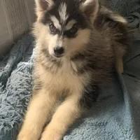 processed/9deb331a-b81b-450c-8b62-26c842ecec94/facility/7533d10c-ab4f-43a4-8a57-35c1b617d774