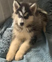 processed/9deb331a-b81b-450c-8b62-26c842ecec94/facility/7533d10c-ab4f-43a4-8a57-35c1b617d774