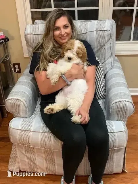 processed/9deb331a-b81b-450c-8b62-26c842ecec94/facility/d6632da2-8189-47d5-9c9a-5dcf4dbd6b22