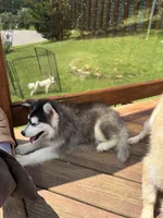 processed/9deb331a-b81b-450c-8b62-26c842ecec94/listing/08cb290a-251e-4fd7-85b3-f22cbb5f6983/194dae53-87a4-4fca-aa6e-f62469cbacb8