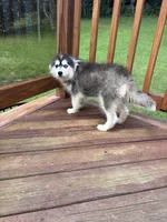 processed/9deb331a-b81b-450c-8b62-26c842ecec94/listing/08cb290a-251e-4fd7-85b3-f22cbb5f6983/3ff99aad-01d6-4a9e-af31-51268a51c95a