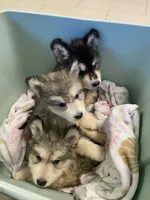 processed/9deb331a-b81b-450c-8b62-26c842ecec94/listing/26691a4d-25cf-4b00-a65b-13be0494149a/45b3e0e1-d265-4e52-b170-e3cb7f0740c2