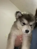 processed/9deb331a-b81b-450c-8b62-26c842ecec94/listing/26691a4d-25cf-4b00-a65b-13be0494149a/483a0a51-4c6e-4bcf-8f0f-c8a363251121