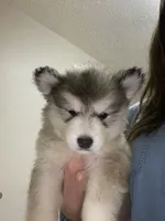 processed/9deb331a-b81b-450c-8b62-26c842ecec94/listing/26691a4d-25cf-4b00-a65b-13be0494149a/fd724155-5a02-409e-b47b-3da2d41bd17b