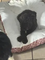 processed/9deb331a-b81b-450c-8b62-26c842ecec94/listing/277f73f1-b901-40cd-92d3-5d1504aa37f2/11d02061-f949-4417-8149-fde86e35ee30