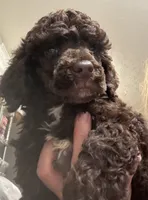 processed/9deb331a-b81b-450c-8b62-26c842ecec94/listing/277f73f1-b901-40cd-92d3-5d1504aa37f2/35f25035-55a5-40e9-af99-861739424e3d