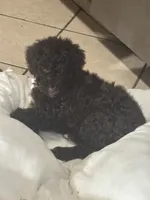 processed/9deb331a-b81b-450c-8b62-26c842ecec94/listing/277f73f1-b901-40cd-92d3-5d1504aa37f2/7a82acea-77e5-4543-a49c-d93d4396af68