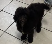 processed/9deb331a-b81b-450c-8b62-26c842ecec94/listing/277f73f1-b901-40cd-92d3-5d1504aa37f2/8094ee25-9fc8-4b45-8064-0c1525c3f715