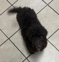 processed/9deb331a-b81b-450c-8b62-26c842ecec94/listing/277f73f1-b901-40cd-92d3-5d1504aa37f2/c1118a06-d25a-4b88-a828-6c8cff3814df