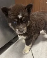 processed/9deb331a-b81b-450c-8b62-26c842ecec94/listing/3e1745a4-7e45-4dd7-8911-530d54f09a4d/ce88ebf7-1bb7-4b80-9748-1fc865b41c00