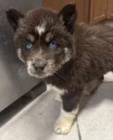 processed/9deb331a-b81b-450c-8b62-26c842ecec94/listing/3e1745a4-7e45-4dd7-8911-530d54f09a4d/eca5febc-2d03-49e6-89b0-366dea4db050