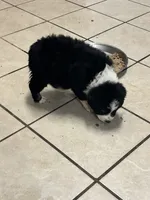 processed/9deb331a-b81b-450c-8b62-26c842ecec94/listing/5975d959-5db6-4d6f-ab82-17e84b302587/05a066aa-2216-45ba-93a4-49b348c99711