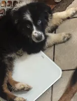 processed/9deb331a-b81b-450c-8b62-26c842ecec94/listing/5975d959-5db6-4d6f-ab82-17e84b302587/13402246-b474-4e47-b950-fa2548de6bef