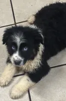 processed/9deb331a-b81b-450c-8b62-26c842ecec94/listing/5975d959-5db6-4d6f-ab82-17e84b302587/2a24bce0-09bb-4dd1-a21f-fc125f5f09d2