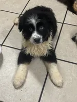 processed/9deb331a-b81b-450c-8b62-26c842ecec94/listing/5975d959-5db6-4d6f-ab82-17e84b302587/90431418-d46d-48e8-9db9-973c3938c23e