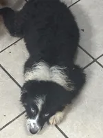 processed/9deb331a-b81b-450c-8b62-26c842ecec94/listing/5975d959-5db6-4d6f-ab82-17e84b302587/a65090db-ba04-41c5-bed3-643e12cfccdb