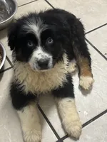 processed/9deb331a-b81b-450c-8b62-26c842ecec94/listing/5975d959-5db6-4d6f-ab82-17e84b302587/bbffa6b1-5e33-4454-b3ab-0358d8f82e8a