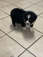 processed/9deb331a-b81b-450c-8b62-26c842ecec94/listing/5975d959-5db6-4d6f-ab82-17e84b302587/bd0b5eae-4f78-4780-88eb-d8873c0d643d