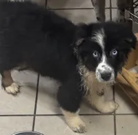 processed/9deb331a-b81b-450c-8b62-26c842ecec94/listing/5975d959-5db6-4d6f-ab82-17e84b302587/f9c76d82-9345-4ab0-b65d-5bdd9084e011