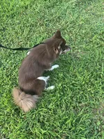 processed/9deb331a-b81b-450c-8b62-26c842ecec94/listing/799c57e8-67e3-4e60-afb6-10087fb45a63/03c25c80-8b97-4d8d-8984-f3ba1baf5850