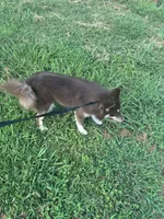 processed/9deb331a-b81b-450c-8b62-26c842ecec94/listing/799c57e8-67e3-4e60-afb6-10087fb45a63/0ed39606-2190-4f8d-82f0-763ef1c9fe2c