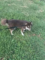 processed/9deb331a-b81b-450c-8b62-26c842ecec94/listing/799c57e8-67e3-4e60-afb6-10087fb45a63/54d01ddb-6a4b-49d8-b8b5-824f64c9b63d