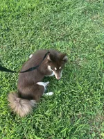 processed/9deb331a-b81b-450c-8b62-26c842ecec94/listing/799c57e8-67e3-4e60-afb6-10087fb45a63/89730282-9df5-453e-bc89-06eeedbd5881