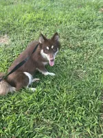 processed/9deb331a-b81b-450c-8b62-26c842ecec94/listing/799c57e8-67e3-4e60-afb6-10087fb45a63/e04a4ff9-7a7e-475c-b09f-9683b4d46e50