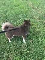 processed/9deb331a-b81b-450c-8b62-26c842ecec94/listing/799c57e8-67e3-4e60-afb6-10087fb45a63/f58fb29a-906f-4a3b-92ca-987d6b4301ac