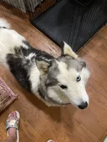 processed/9deb331a-b81b-450c-8b62-26c842ecec94/listing/92158ced-aa72-4361-af21-58b360b3a0c7/2279f76c-38f4-41d1-b41e-b3ca8f2e7e3e