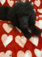 processed/9deb331a-b81b-450c-8b62-26c842ecec94/listing/9cbb3d76-b58b-4f49-b175-78dac5c2b647/291ddea4-2cdd-43f8-8bce-0a7344547446