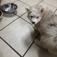 processed/9deb331a-b81b-450c-8b62-26c842ecec94/listing/c9b40c89-85bd-498f-8a16-69fe58582b28/25e8b647-b615-4d79-bf44-2c34e34d80c8