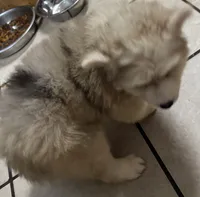 processed/9deb331a-b81b-450c-8b62-26c842ecec94/listing/c9b40c89-85bd-498f-8a16-69fe58582b28/4b255dc4-512d-4c9e-84ea-3b7ac07d4a8d