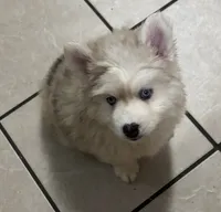 processed/9deb331a-b81b-450c-8b62-26c842ecec94/listing/c9b40c89-85bd-498f-8a16-69fe58582b28/7e6dce18-aee5-4169-8a7b-a0cb82f18d1f