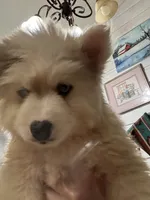 processed/9deb331a-b81b-450c-8b62-26c842ecec94/listing/c9b40c89-85bd-498f-8a16-69fe58582b28/9bdab4f8-4cea-43b3-9923-e5b24b45e5ff