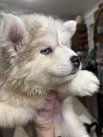 processed/9deb331a-b81b-450c-8b62-26c842ecec94/listing/c9b40c89-85bd-498f-8a16-69fe58582b28/d6b3bca4-dbfc-4871-a493-5d15d6c46fab