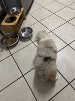 processed/9deb331a-b81b-450c-8b62-26c842ecec94/listing/c9b40c89-85bd-498f-8a16-69fe58582b28/e838a89e-967b-464f-b1a9-d16bdfc101c6