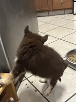 processed/9deb331a-b81b-450c-8b62-26c842ecec94/listing/e617a368-aa9b-4349-a9b5-c6b66fb03437/115eecbc-6af1-4e7b-8bd9-322422aa5a0e