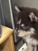 processed/9deb331a-b81b-450c-8b62-26c842ecec94/listing/e617a368-aa9b-4349-a9b5-c6b66fb03437/1b9eacc0-4f20-4c90-b582-0689bc6db89b